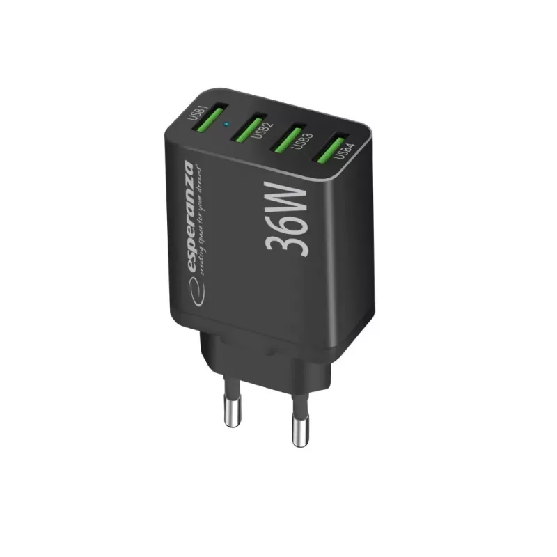 Esperanza EZC107K Netzladegerät 36W Schwarz