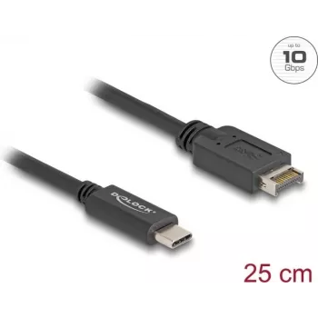 DeLOCK USB-Kabel USB Typ-E Key A 20-polig Stecker auf USB Typ-C Stecker 25 cm