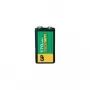 Wiederaufladbare Batterie GP 30117R9H-C1 8,4V 170mAh NiMH Akkupack