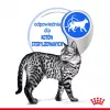 Nassfutter für Katzen Royal Canin Indoor Sterilized 85 g Beutel — ausgewachsene kastrierte Wohnungskatzen, Geflügelgeschmack, Packung 12 x 85 g