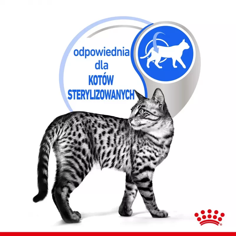 Nassfutter für Katzen Royal Canin Indoor Sterilized 85 g Beutel — ausgewachsene kastrierte Wohnungskatzen, Geflügelgeschmack, Packung 12 x 85 g