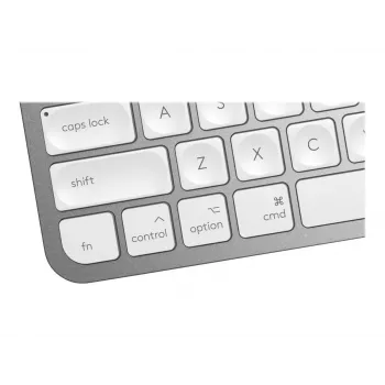 Tastatur MX Keys Mini Mac Pale 920-010526 grau