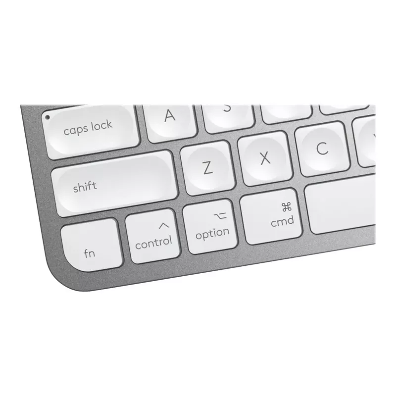Tastatur MX Keys Mini Mac Pale 920-010526 grau