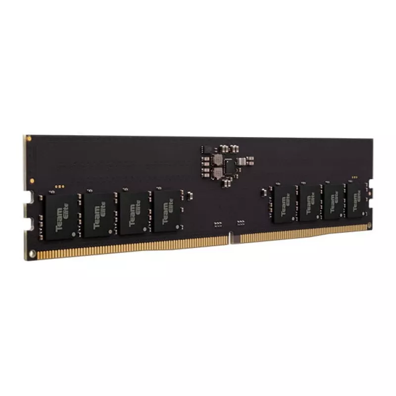 DIMM 16 GB DDR5-5600, Arbeitsspeicher schwarz, TED516G5600C4601, Elite, INTEL XMP