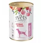 Nassfutter für Hunde 4vets Natural Diabetes 400 g – Diätfuttermittel für diabetische erwachsene Hunde, Pute, 400 g, Protein 5,5 %, Fett 3,3 %