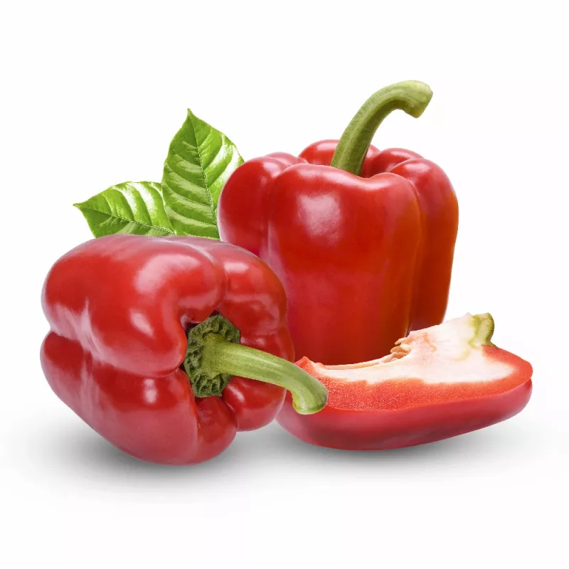 Saatgut-Pellets Seklos LT Ożarowska Paprika 50 Samen (ummantelt)
