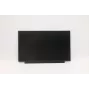Lenovo 02HL701 13,3-Zoll HD TN LCD-Panel, blendfrei, 250 cd/m²