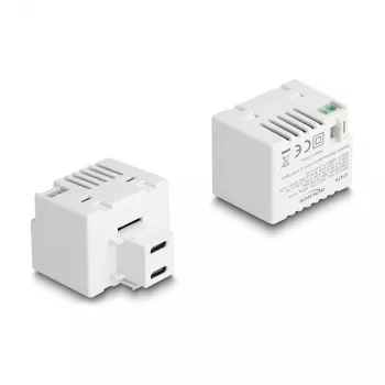 DeLOCK Keystone-Modul 41479 2 x USB Type-C PD 20W Weiß