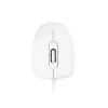 MODECOM M10 M-MC-0M10-200 Maus (optisch, 1000 DPI, Weiße Farbe) (M-MC-0M10-200)