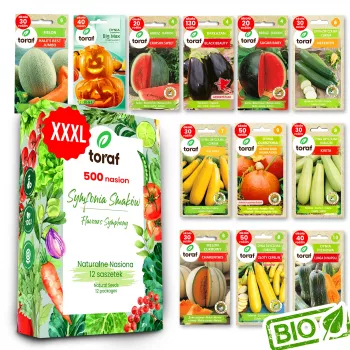 Toraf Flavor Symphony Samen-Set - 12 Packungen
