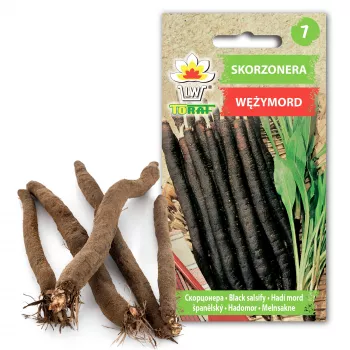 Schwarzwurzel Duplex Toraf Gemüsesamen, 2g Packung