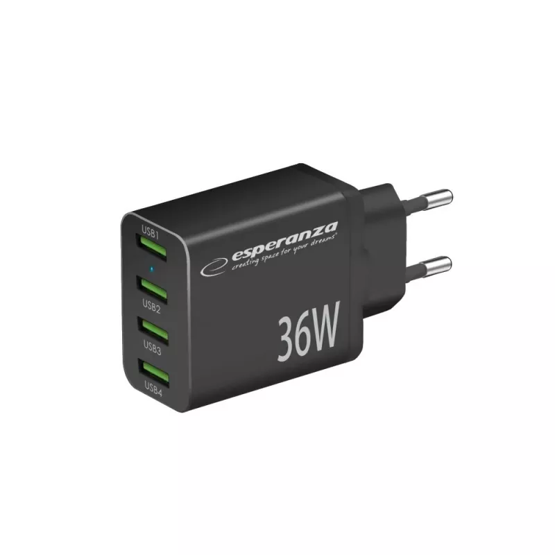 Esperanza EZC107K Netzladegerät 36W Schwarz