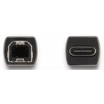 DeLOCK USB 2.0 Adapter USB Type-C Buchse auf Typ-B Stecker 65839