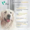 Multivitaminkapseln VETEXPERT 30 Stück für Hunde und Katzen – Vitalität, Gelenkunterstützung, konservierungsstoff- und glutenfrei