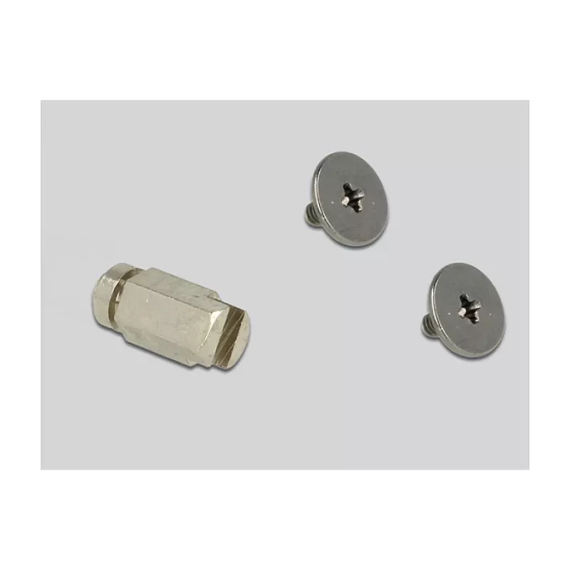 Interner M.2-Adapter DeLOCK 65831