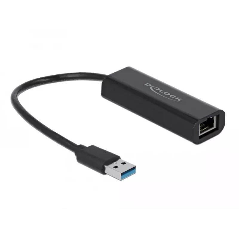 Netzwerkkarte DeLOCK 66299 Ethernet 5000 Mbit/s