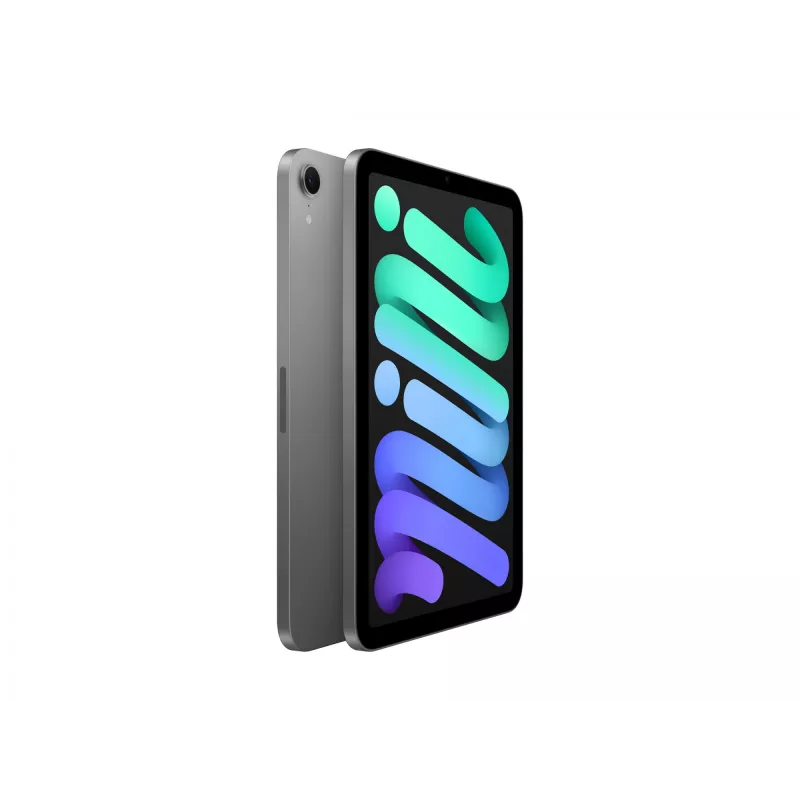 Apple iPad mini A17 Pro Wi-Fi - Tablet - 128GB - 21,1 cm (8,3) IPS (2266 x 1488) - Space-Grey (MXN63NF/A)