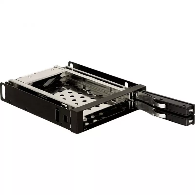 DeLOCK 3.5 Mobile Rack Schwarz