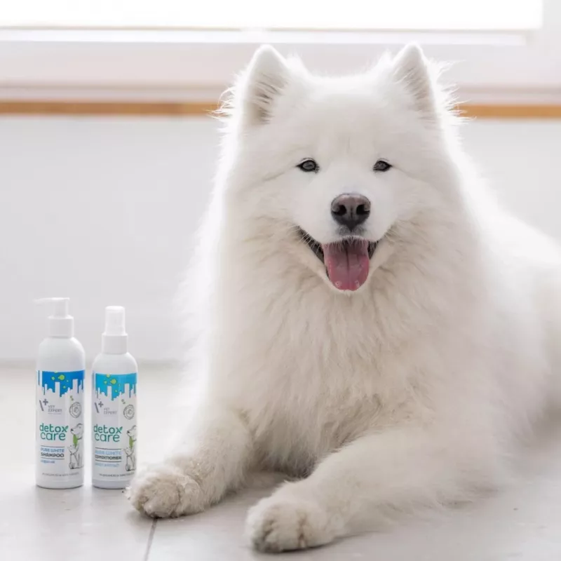 Conditioner VETEXPERT Clinic Care Balance 150 ml — veterinärer Fellconditioner für Hunde und Katzen, 150 ml