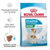Trockenfutter für Hunde Royal Canin Starter Mutter & Babydog 1 kg — Huhn, 30% Protein, 22% Fett