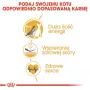 Trockenfutter für Katzen Royal Canin Sphynx Adult 2 kg — Schweinefleischgeschmack, 33 % Protein, 23 % Fett