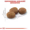 ROYAL CANIN Sterilised 37 - Trockenfutter für Katzen - 10 kg