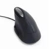Maus Gembird MUS-ERGO-03 USB Typ-A Optisch Rechtshändig