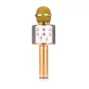 Mikrofon MANTA MIC10-G Gold Niere tragbar — Kondensator-Niere, Handdesign