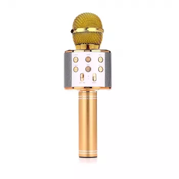 Mikrofon MANTA MIC10-G Gold Niere tragbar — Kondensator-Niere, Handdesign