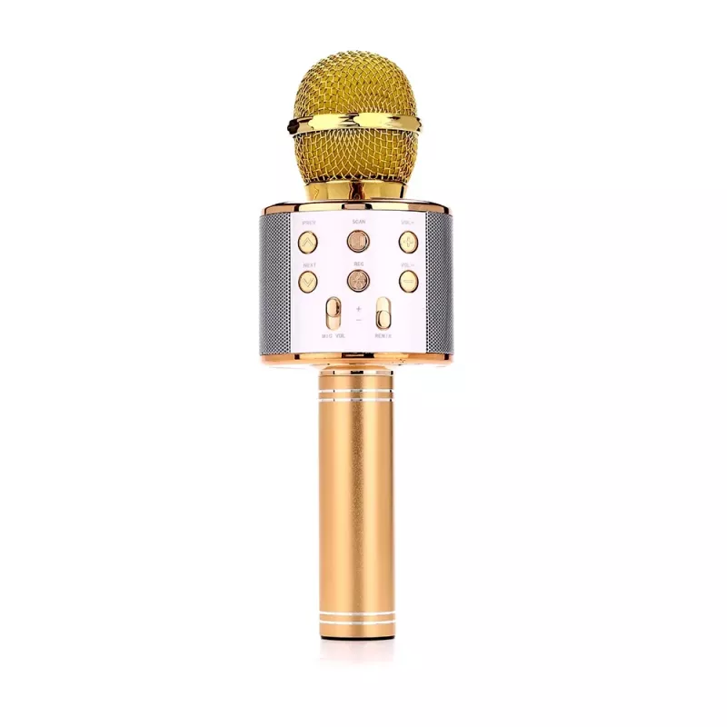 Mikrofon MANTA MIC10-G Gold Niere tragbar — Kondensator-Niere, Handdesign