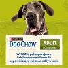 Purina DOG CHOW Large Breed Adult 14 kg Truthahn