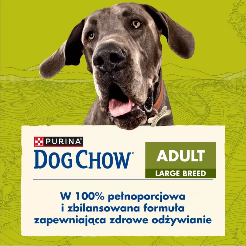Purina DOG CHOW Large Breed Adult 14 kg Truthahn