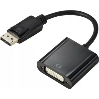 Renkforce RF-5771774 DisplayPort / DVI Adapter [1x DisplayPort Stecker - 1x DVI-Buchse 24+5pol.] Schwarz PVC-Mantel 15 cm (RF-5771774)