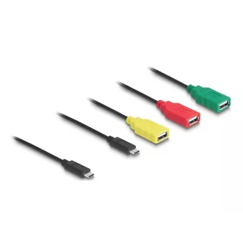 DeLOCK 4-Port USB 2.0 Kabel-Hub USB Type-C auf 3 x USB-A Buchse + 1 x USB-C Stecker