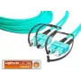 Lightwin LDP-50 SC-SC 4.0 OM3 Glasfaserkabel 4 m Aqua-Farbe (LDP-50 SC-SC 4.0 OM3)