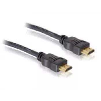 Delock Connectivity Zubehör