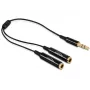 Audiokabel DeLOCK 65356 0,25 m 3,5 mm 2 x 3,5 mm Schwarz