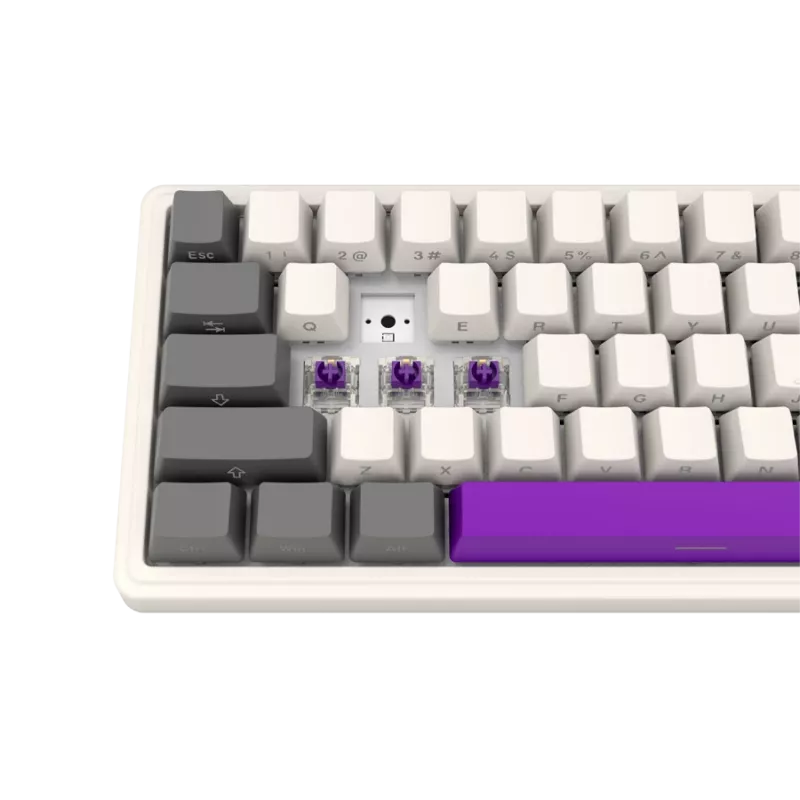 Kabellose mechanische Gaming-Tastatur LORGAR KBP70MW 65%-Layout Beige