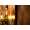 Smarte Glühbirne Shelly Vintage ST64 Wi-Fi Transparent 230 V