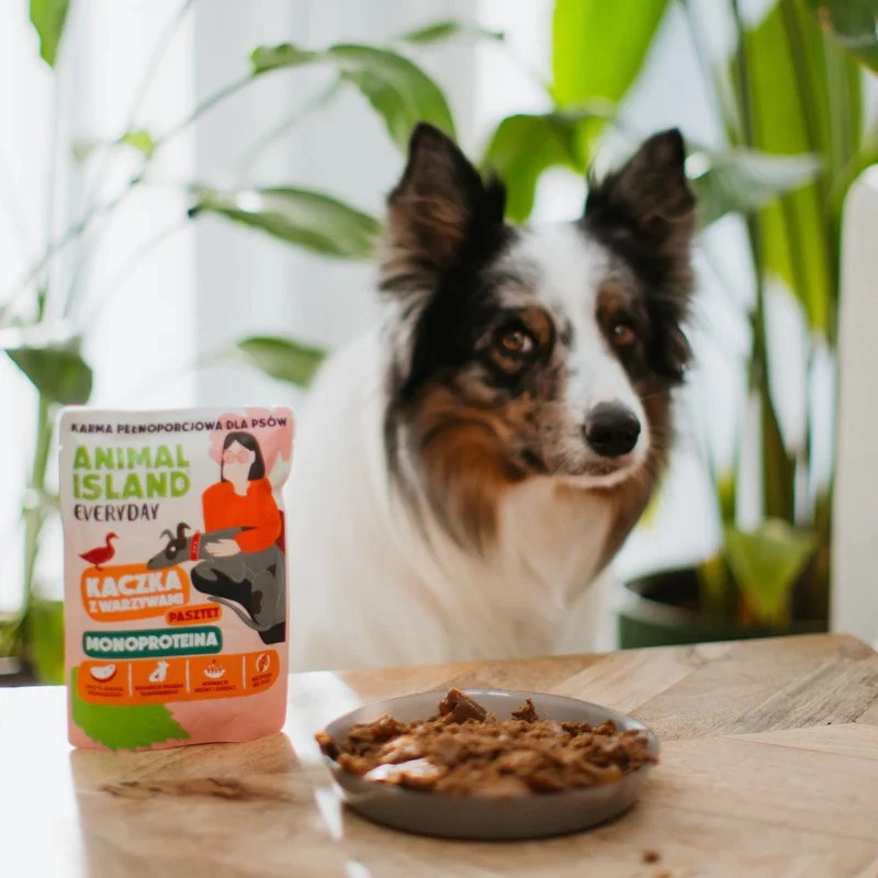 ANIMAL ISLAND Monoprotein Ente für Hunde 300g
