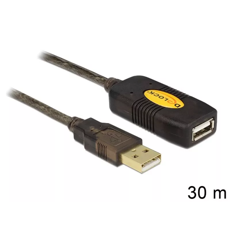 USB-Kabel DeLOCK 30m USB2.0 USB A Schwarz