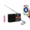 Tragbares analoges AM/FM-Bluetooth-Radio BLOW RA18 mit FM-Tuner und Bluetooth-Konnektivität