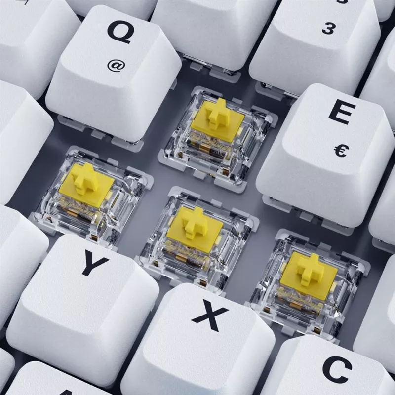 Sharkoon SKILLER SGK50 S3 PBT-Tastatur Gaming USB QWERTZ Deutsch Weiß