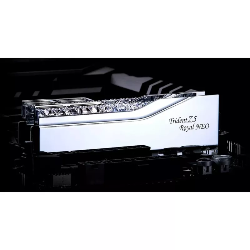 G.skill F5-8000J4048G24GX2-TR5NS Speichermodul