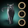 Nassfutter für Katzen Sheba Huhn Ente Truthahn 85 g Beutel (80 × 85 g) für ausgewachsene Katzen, Feuchtigkeit 86%