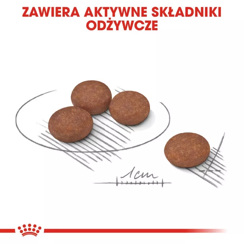 Trockenfutter für Hunde Royal Canin Mini Digestive Care 3 kg — kleine Rassen, Geflügel, ausgewachsen, Verdauungsunterstützung