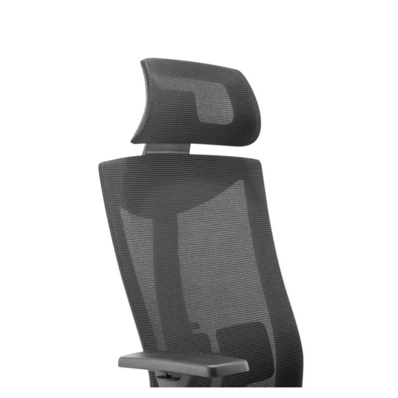 Ergonomic premium chair Ergo Officer ER-414