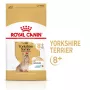 Trockenfutter für Hunde Royal Canin Yorkshire Terrier 8+ 3 kg — Geflügel, für ältere Yorkshire Terrier, Protein 29%, Fett 18%