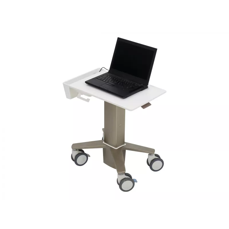 Laptopständer Ergotron C50-1100-0 Grau 39,6 cm