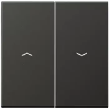 Schalter-Wippenabdeckung JUNG AL 2995 P AN Anthrazit für kompatible 4072.01 LED, IP44
